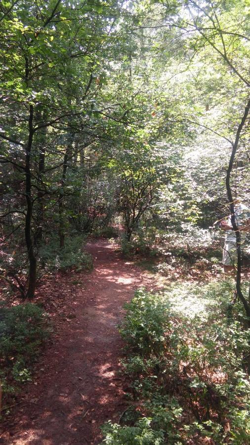 Poort Van De Veluwe Voorthuizen Zewnętrze zdjęcie