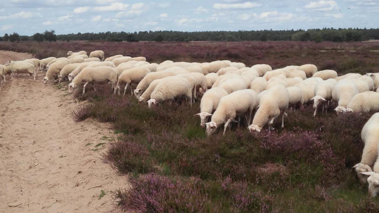 Poort Van De Veluwe Voorthuizen Zewnętrze zdjęcie